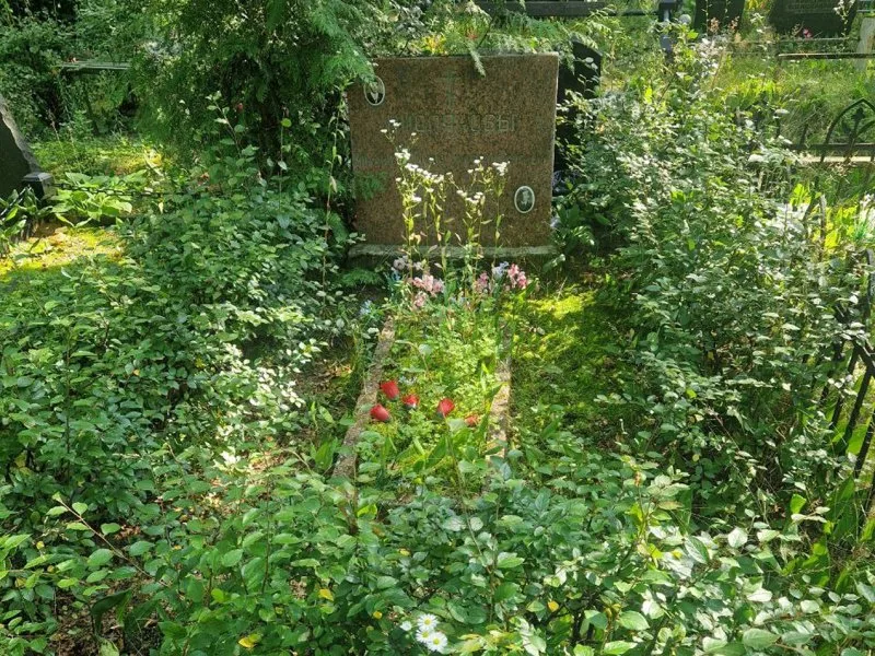 Overgrown grave before and after general cleaning — Before