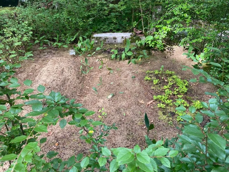 Neglected grave before and after restoration — Before