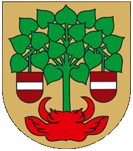 Valmieras pilsētas bāriņtiesa Logo