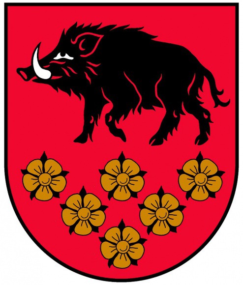 Kandavas novada bāriņtiesa Logo