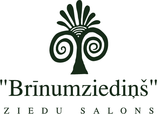 Brīnumziediņš SIA, Salons Логотип
