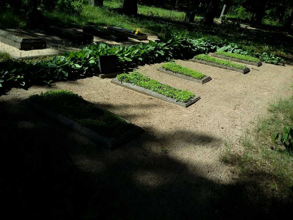 Uskuru kapsēta Галерея