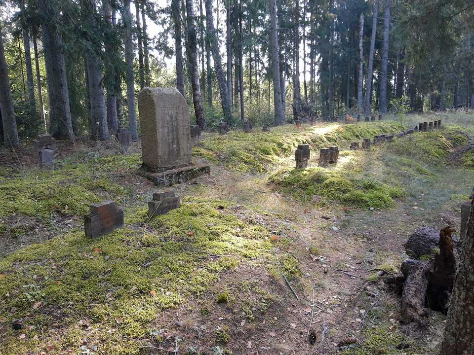 1.pasaules kara brāļu kapi(203 kv 6.nogabals 609 apgabals) Галерея