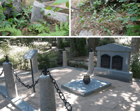 landscaping and renovation of graves