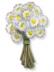 Nr. 23 - BOUQUET OF DAISIES, Product number: 20859 014 00 0 00 