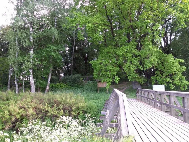 Olaines kapsēta (Jaunolainē) 