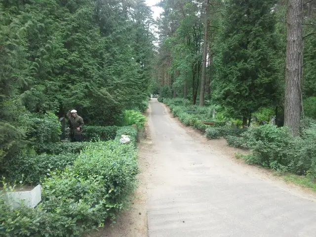 Pļavnieku kapi