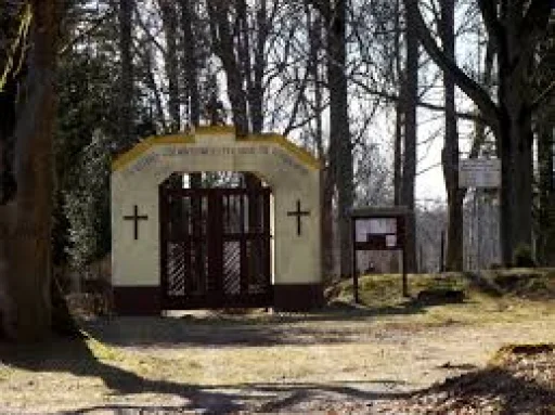 Mušķu kapi