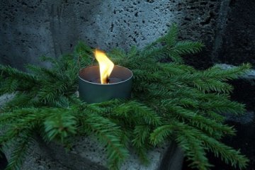 Drustu kapi
