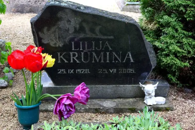 Krūmēnu kapi 