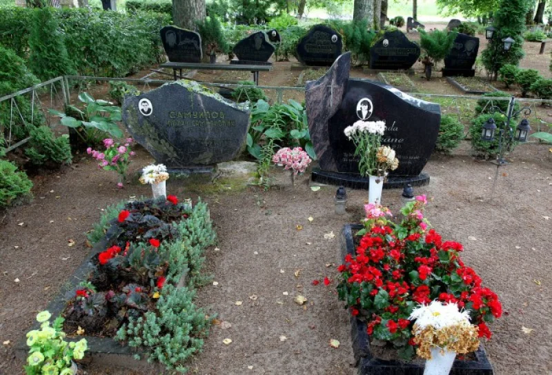 Damasānu kapi 