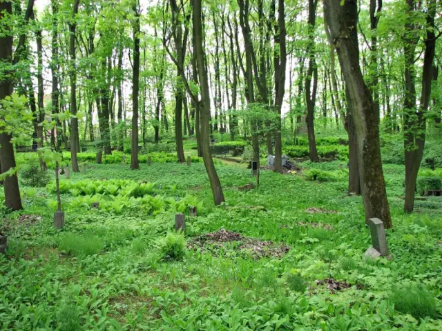 Torņakalna kapi 