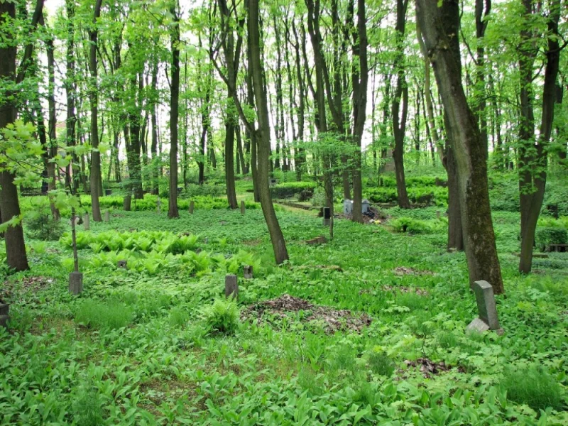 Torņakalna kapi 