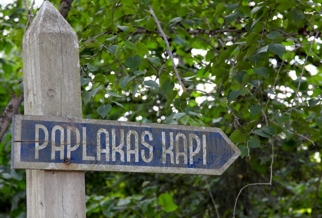 Paplakas kapi Logo