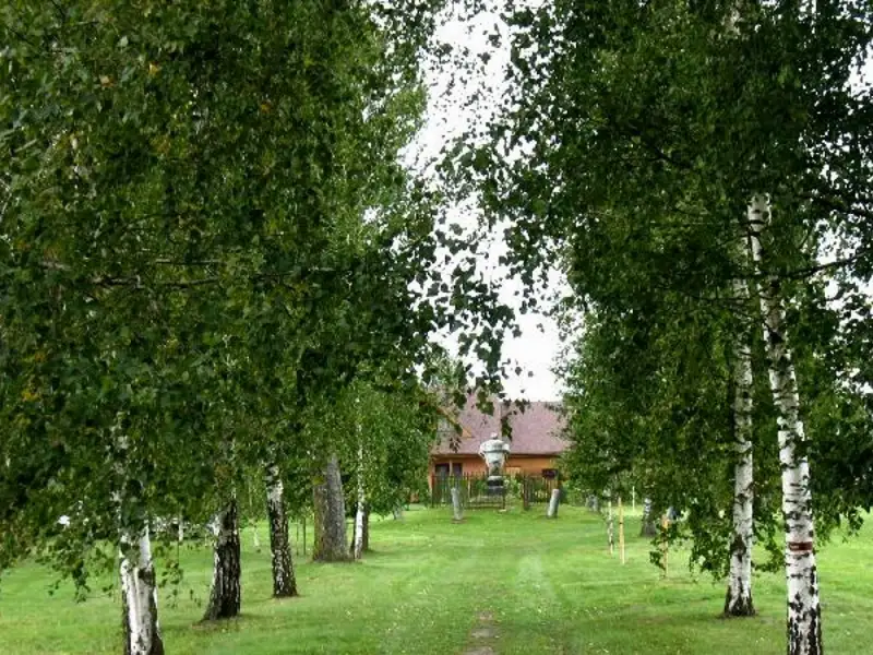 Mīlestības aleja 