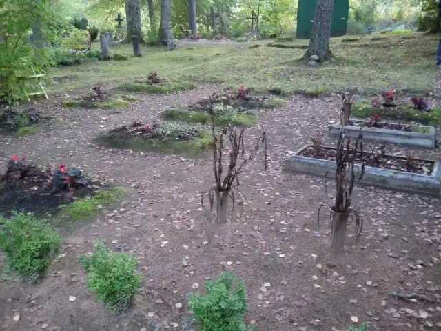 Sūnu kapi 