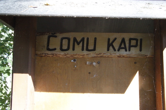 Čomu kapi Logo