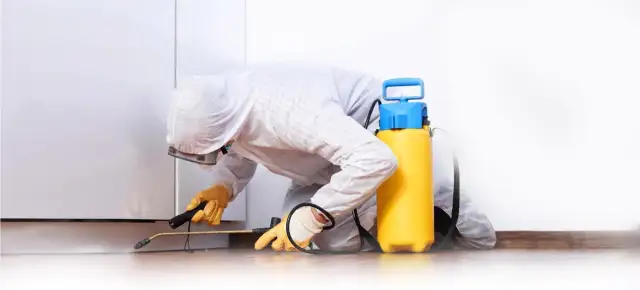 Top Cleaning 