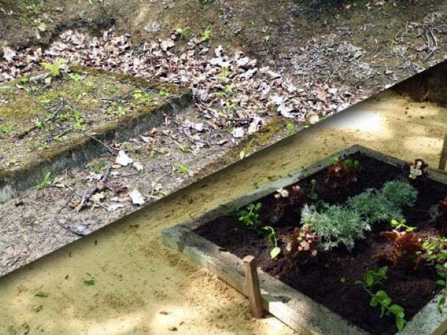 Kā pasūtīt kapu uzkopšanu un labiekārtošanu tiešsaistē