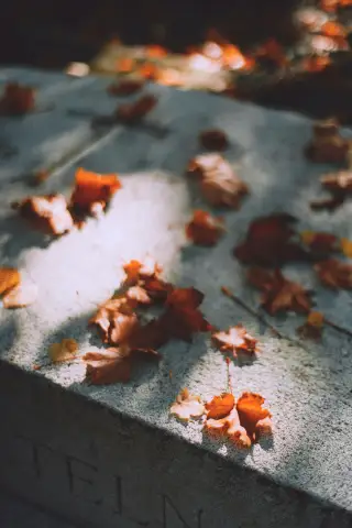 Rudens kapavietas uzkopšana