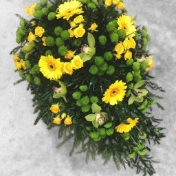 Preview image for  Sprays for funeral