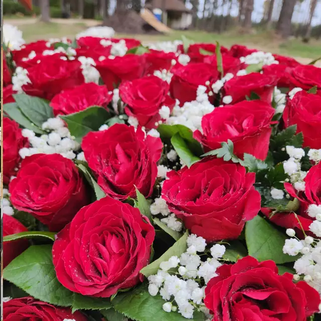 Freshly cut flowers