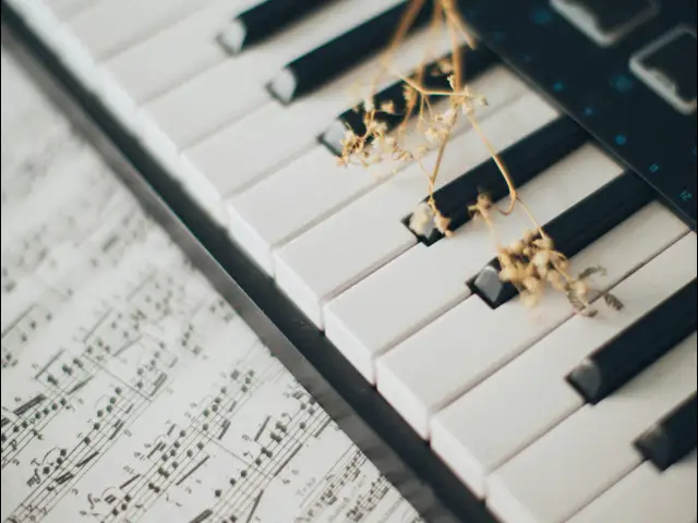 Bēru muzikantu pakalpojumi