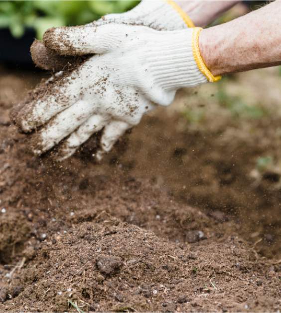 Cemetery cleaning service