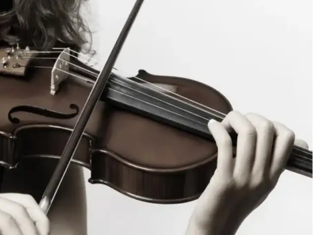 Bēru muzikanti