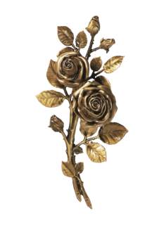 Rozes
