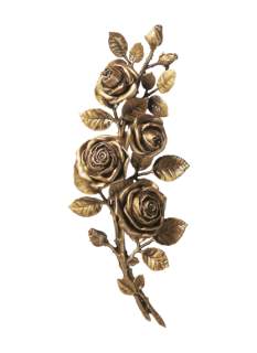 Rozes