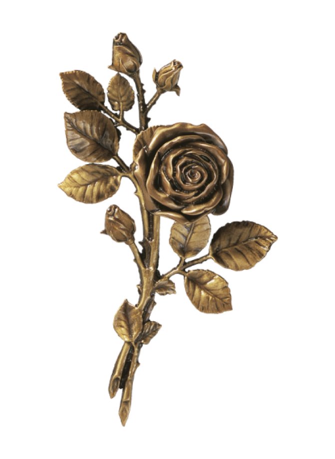 Rozes