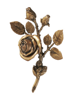 Rozes