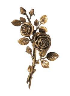 Rozes