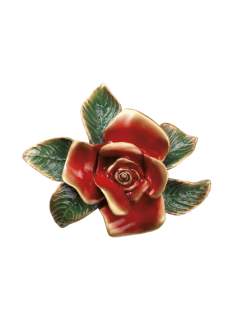 Rozes