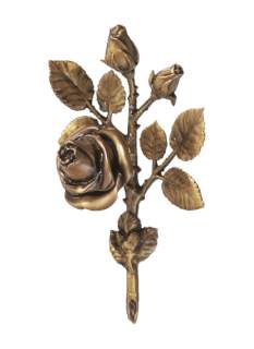 Rozes