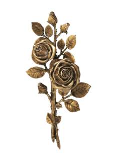 Rozes