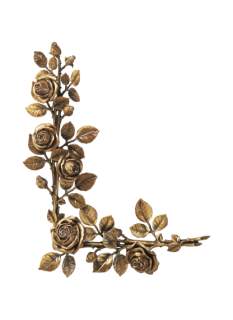 Rozes