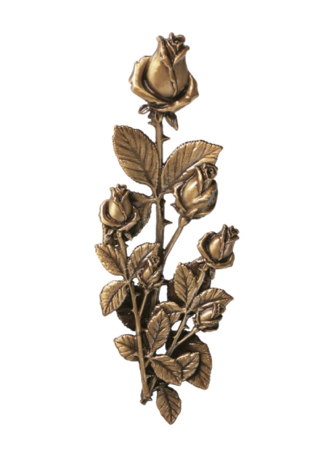 Rozes