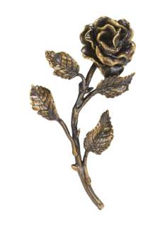 Rozes