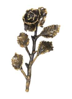Rozes