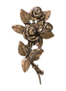 Rozes