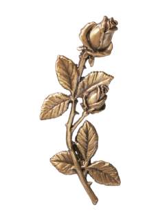 Rozes