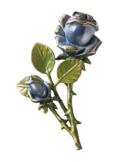Rozes
