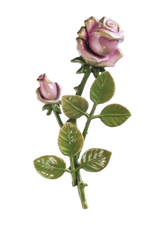 Rozes