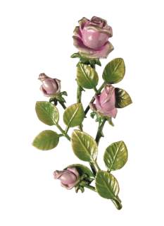 Rozes