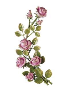 Rozes