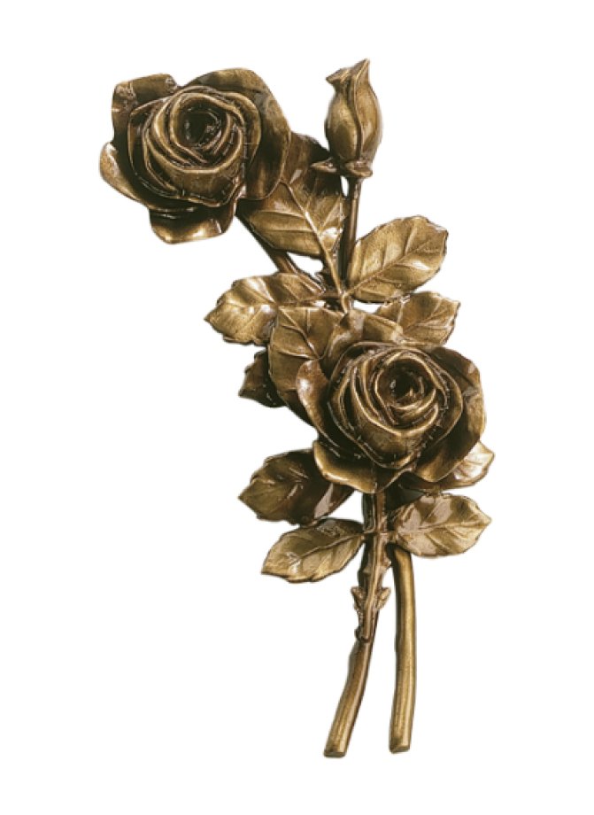 Rozes