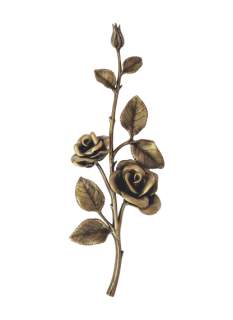 Rozes
