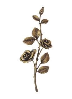 Rozes